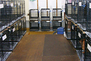 犬舎のイメージ