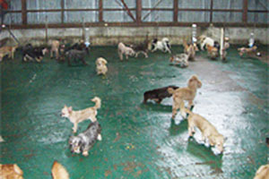 運動場のイメージ