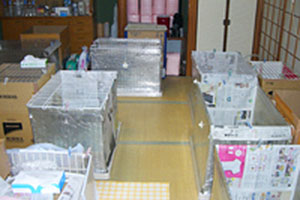 自家繁殖のイメージ