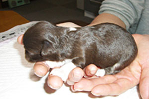 低価格のイメージ